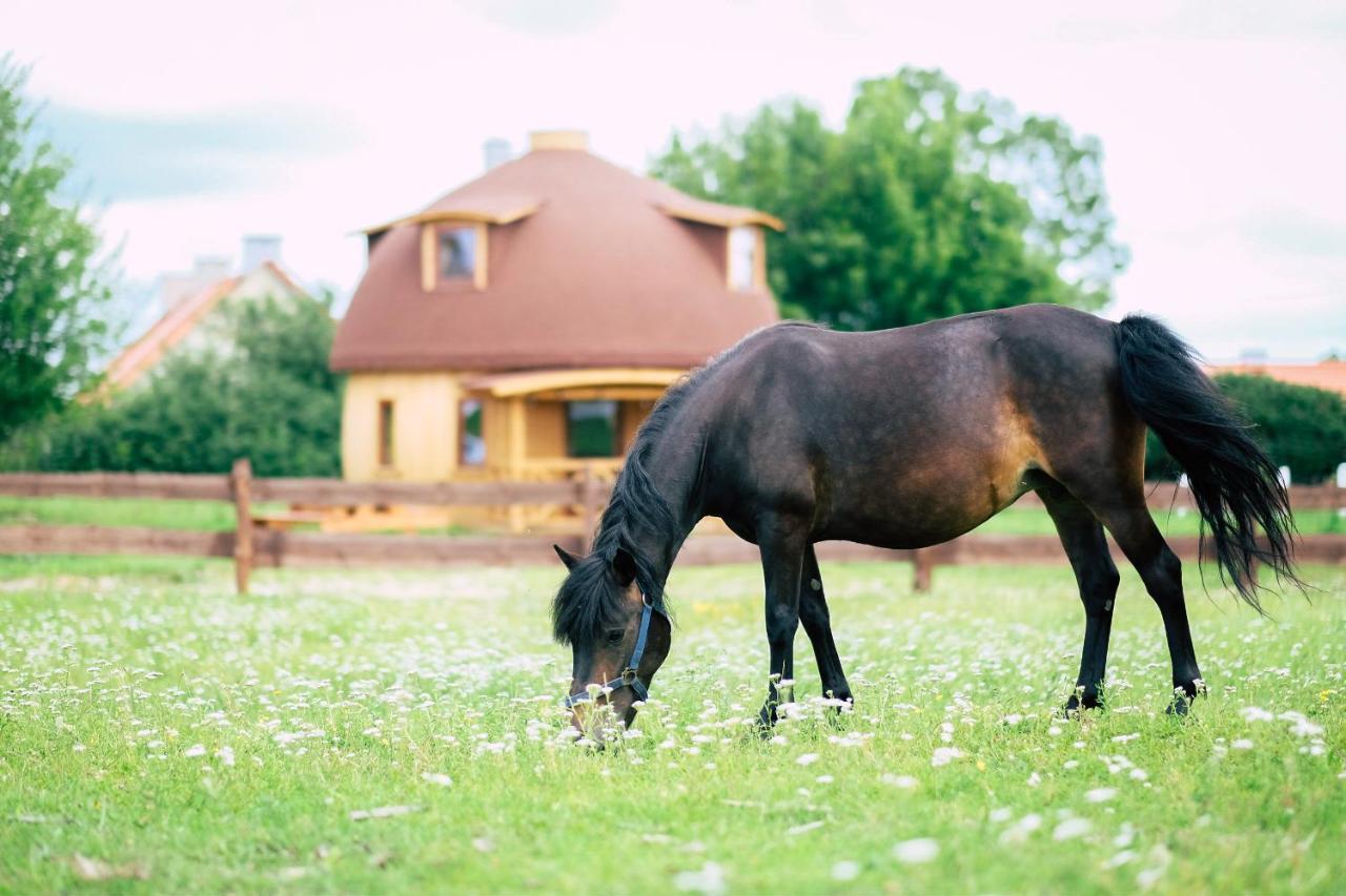 Grzybek Maison Champignon Kętrzyn Exterior foto